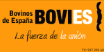 bovies